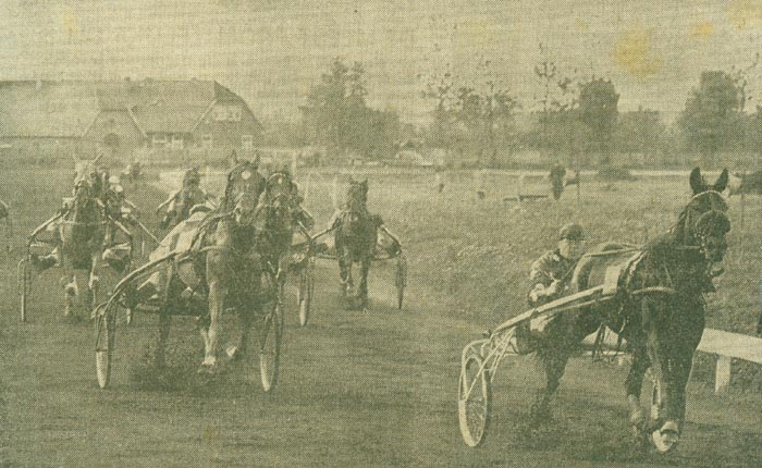 1954